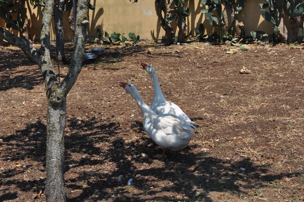 Bed&Breakfast Giardini Di Marzo Lecce Exterior foto